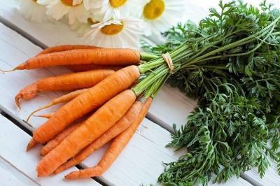 Как понять, что морковь можно убирать с грядки