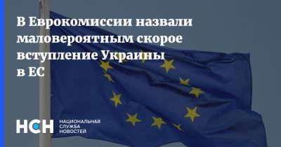 В Еврокомиссии назвали маловероятным скорое вступление Украины в ЕС