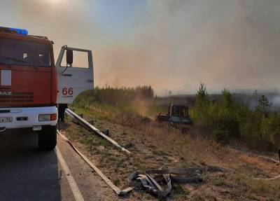 В Самарской области горит нацпарк "Бузулукский бор"