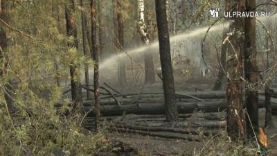 В Барышском районе из-за окурка сгорел лес