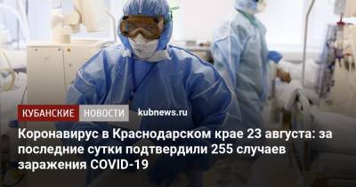 Коронавирус в Краснодарском крае 23 августа: за последние сутки подтвердили 255 случаев заражения COVID-19
