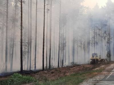 Леса в Марий Эл горят на площади 54 га