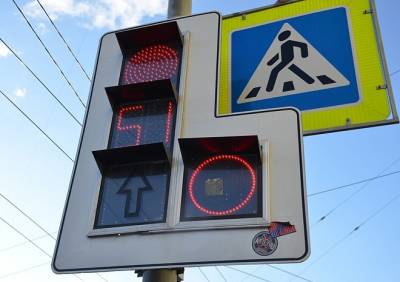 На трассе в Рязанской области появится пять пешеходных светофоров