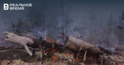 Леса Марий Эл горят на площади 54 га