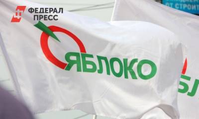 Представитель «Яблока» считает, что нужно бойкотировать выборы