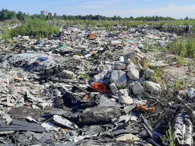 В Приморском районе до конца года уничтожат незаконные свалки