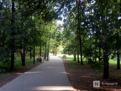 Около 250 тысяч деревьев высадят в Нижегородской области этой осенью
