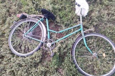 В Ржаксинском районе водитель иномарки насмерть сбил пенсионера на велосипеде