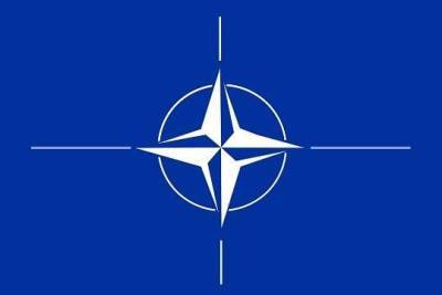 Стало известно об отказе НАТО оказать помощь силам сопротивления в Афганистане