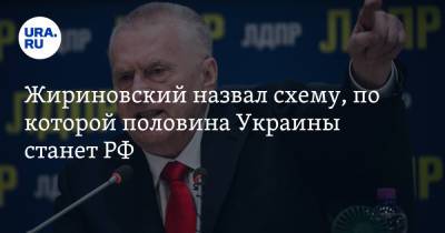 Жириновский назвал схему, по которой половина Украины станет РФ