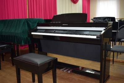 Школа искусств в Борисовке получила 50 музыкальных инструментов