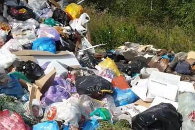 Жители Конаково жалуются на очередную мусорную свалку