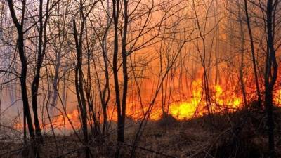 Пламя отрезало путь к спасению туристам в двух санаториях Свердловской области