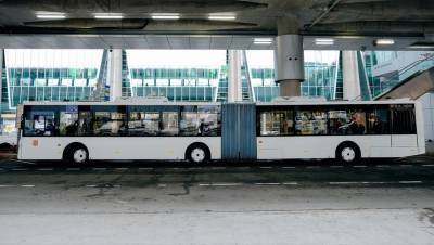 Самым популярным в Петербурге оказался автобусный маршрут до аэропорта