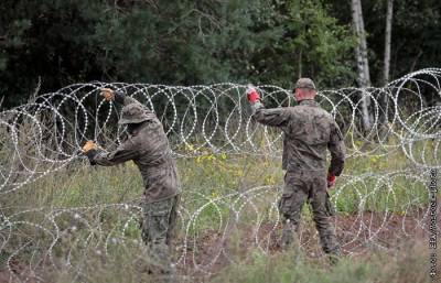 Минобороны Польши задумало построить стену на границе с Белоруссией