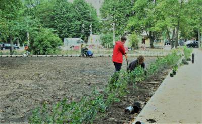 В Выборге озеленяют Садовый сквер у памятника Горькому