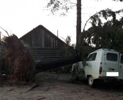 В Усть-Куломском районе дали предварительную оценку ущербу от урагана