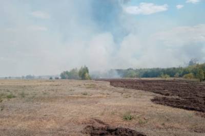 В городском округе под Оренбургом введен режим ЧС из-за природного пожара