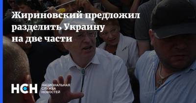 Жириновский предложил разделить Украину на две части