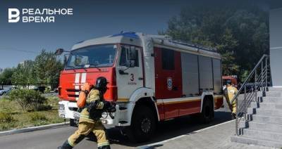 В ГУ МЧС РФ по Татарстану опровергли переход лесного пожара на дома в одном из поселков республики