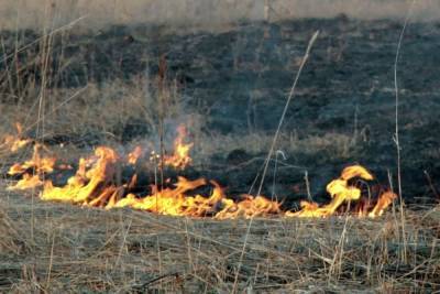 Волонтер погиб при тушении горящей травы под Оренбургом