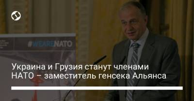 Украина и Грузия станут членами НАТО – заместитель генсека Альянса