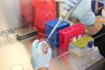 Ученые из США нашли антитело, способное защитить от всех штаммов COVID-19