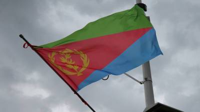 В МИД Эритреи прокомментировали санкции США против начальника штаба ВС