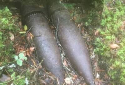 Артиллерийские снаряды обнаружили во время сбора грибов под Выборгом