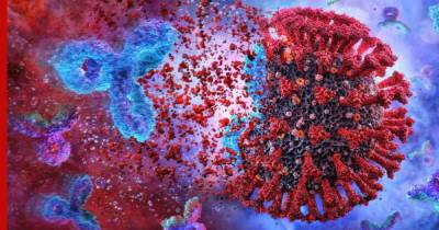 Антитело, защищающее от нескольких штаммов коронавируса, выявили ученые