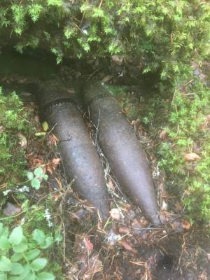 Под Выборгом местные жители вместе с грибами нашли два снаряда времен войны