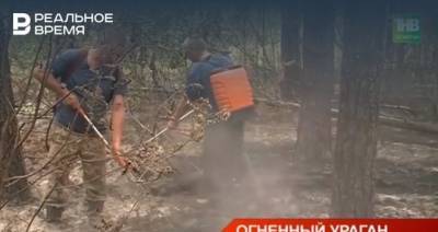 В Лениногорском районе Татарстана произошел пожар в лесу — видео