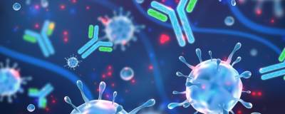 Ученые Университета Вашингтона выявили антитело, защищающее от всех штаммов COVID-19