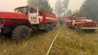 В Нижегородской области и Мордовии ввели межрегиональный режим ЧС из-за пожаров