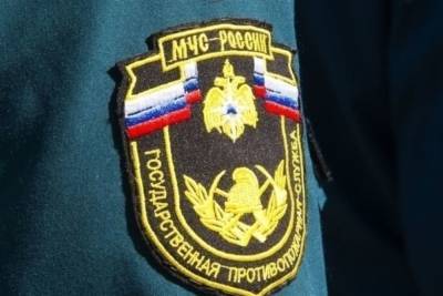 В Нижегородской области и Мордовии ввели режим ЧС из-за пожаров
