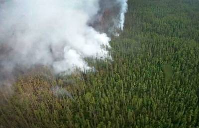 Площадь лесных пожаров в России сократилась до 1,1 млн гектаров