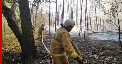 В Мордовии и Нижегородской области из-за пожаров введен режим межрегиональной ЧС