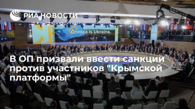 В Общественной палате выступили за санкции против участников киевского саммита "Крымская платформа"