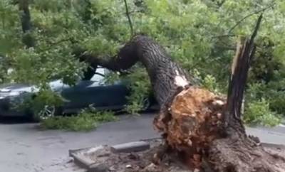 Первый уровень опасности: 24 августа Украину накроют грозы и штормовой ветер - где разбушуется стихия