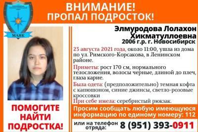 Пятнадцатилетняя девушка пропала в Новосибирске