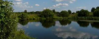 В деревне Мужичкино Красноярского края незаконно оформили в собственность землю с прудом