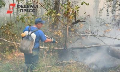Площадь лесных пожаров в Свердловской области увеличилась вдвое