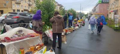 Несанкционированная торговля дарами леса бойко идет в центре Петрозаводска (ФОТО)