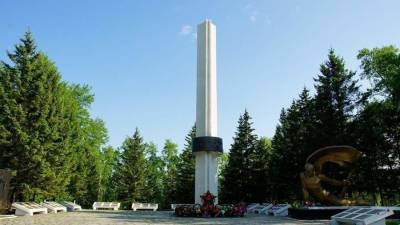 Подростки осквернили мемориал воинам ВОВ в Амурской области