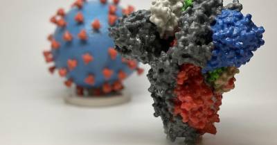 Ученые нашли способное нейтрализовать основные штаммы Covid антитело