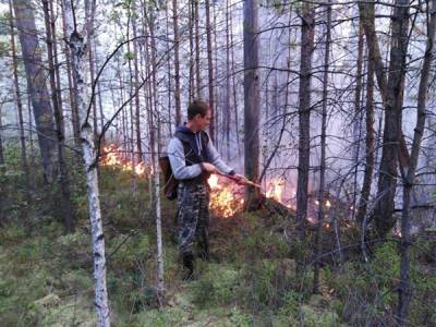 Площадь, пройденная огнем в лесу под Екатеринбургом, составляет 760 га