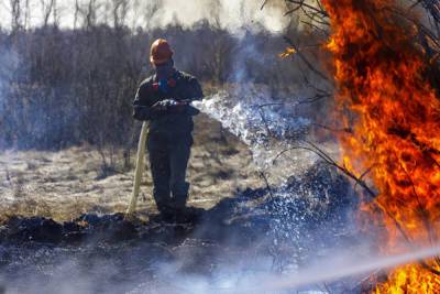 В Челябинской области ликвидируют лесной пожар