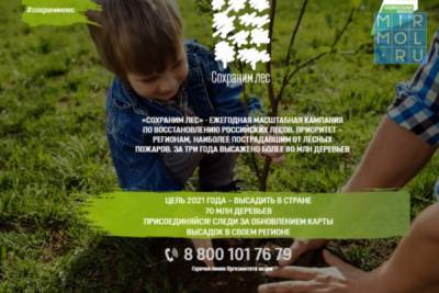 Дагестанцы могут принять участие в ежегодной акции «Сохраним лес»