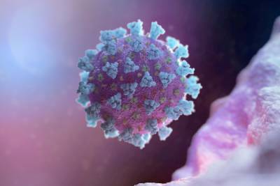 Найдено антитело, защищающее от всех штаммов коронавируса