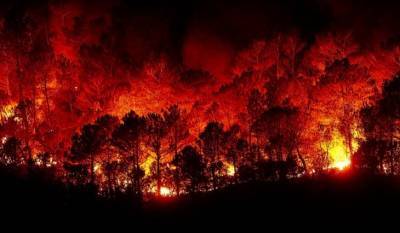 Дым от лесных пожаров влияет на заболеваемость коронавирусом - mirnov.ru - Вашингтон - шт. Калифорния